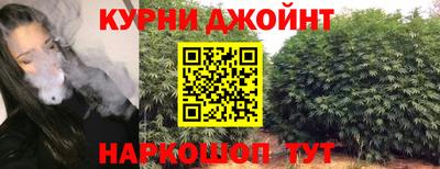 гидра Дубна