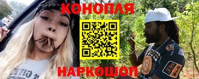гидра Дубна