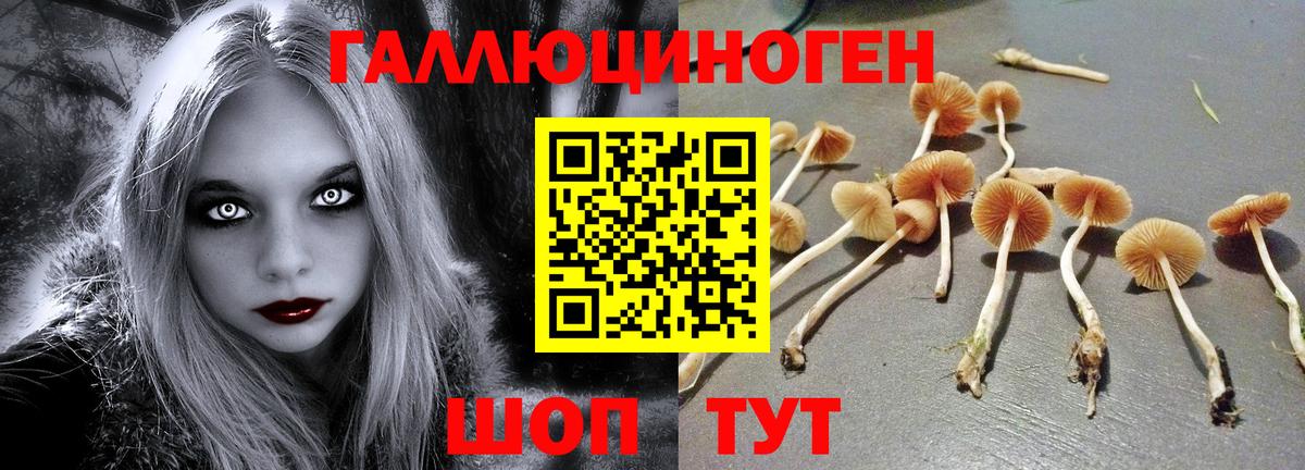 Галлюциногенные грибы Cubensis  Вход с VPN  Пушкино 