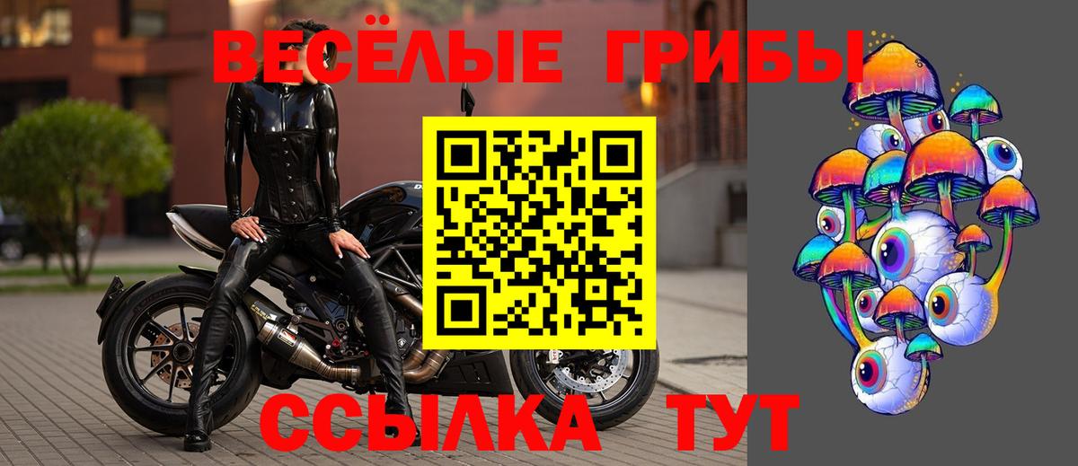 Галлюциногенные грибы MAGIC MUSHROOMS  Псилоцибиновые грибы Magic Shrooms  Пушкино 