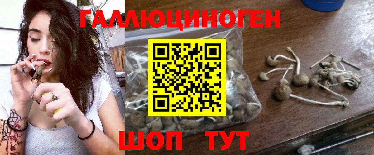 Псилоцибиновые грибы мухоморы Пушкино